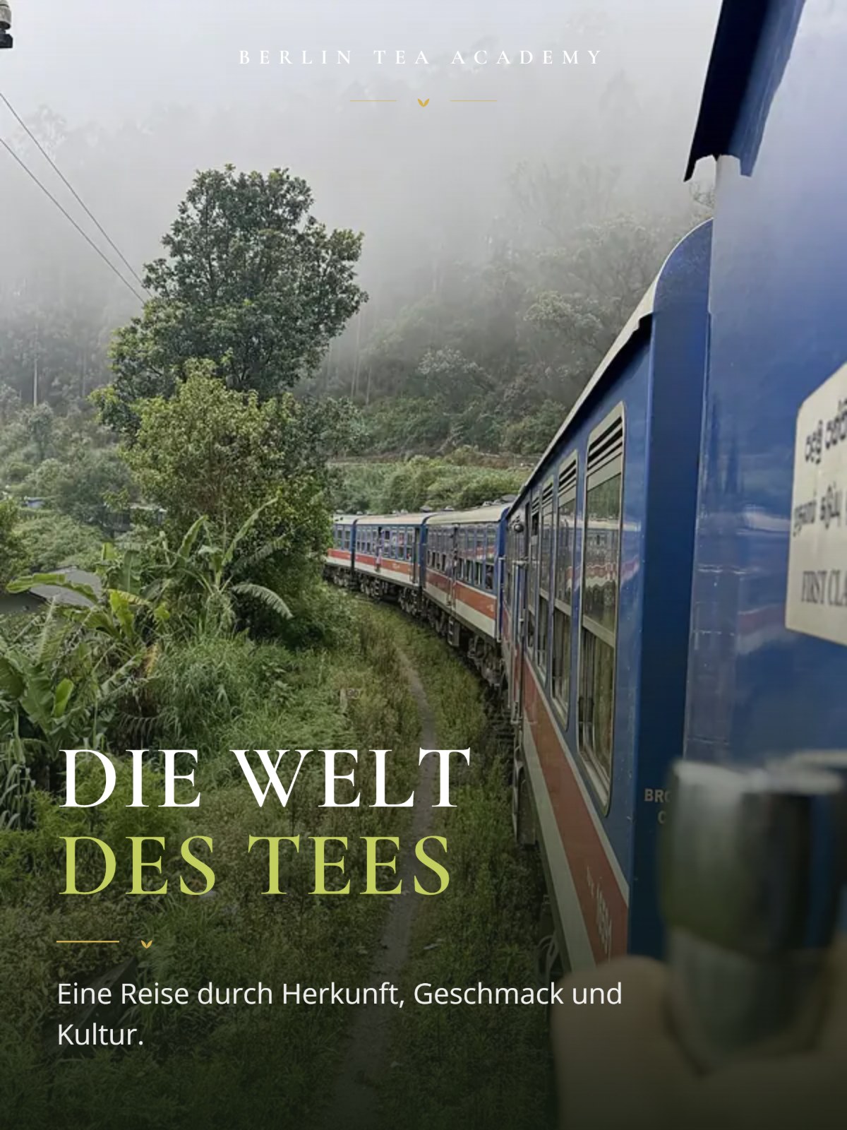 Die Welt des Tees: Eine Rundreise