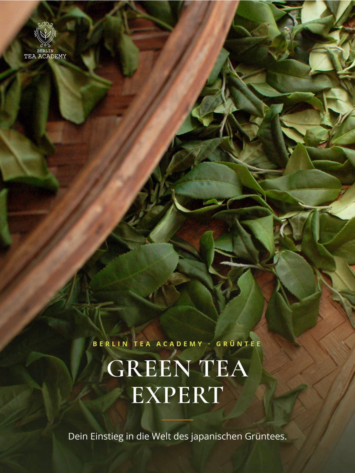 Green Tea Expert