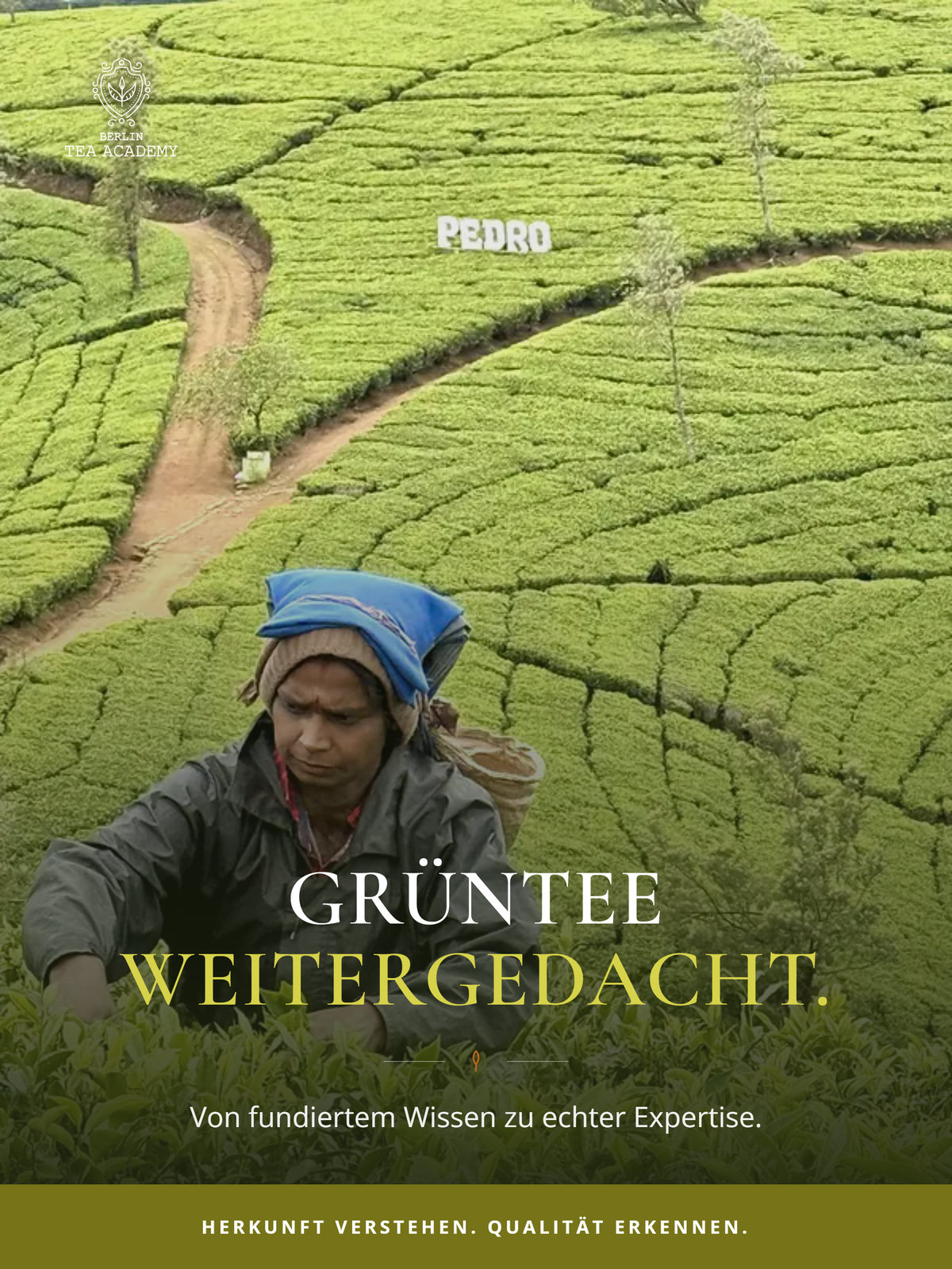 Green Tea Pro